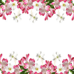 Beautiful pattern of white and pink flowers  