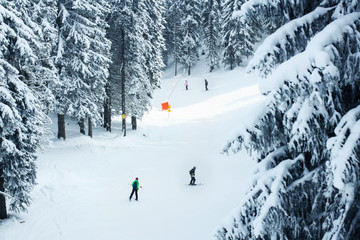 Ski school in the trace
