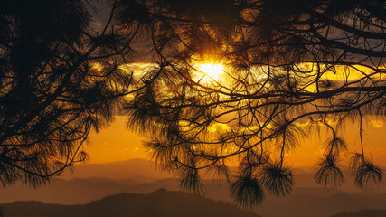 Naklejka premium Sunset landscape beautiful orange background,Silhouette 