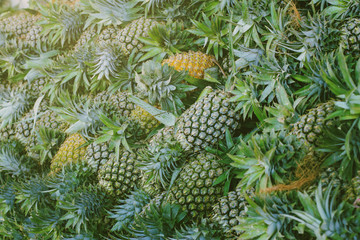 Pineapple background. Pineapples in the market.close up pineapple in market place for background.