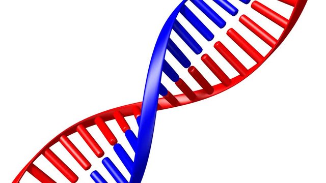 3D animation/ 3D rendering - red and blue DNA code (deoxyribonucleic acid). 