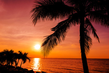 Dark silhouettes of palm trees and amazing cloudy sky and sunset at tropical sea