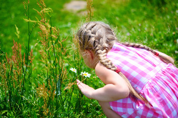 Fototapeta premium Adorable little girl with daisy on sunny summer day