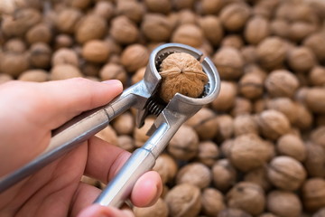 for cracking walnuts tool