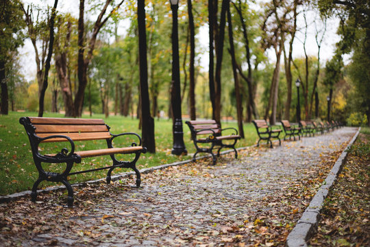 autumninthe parc