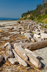 Pales of logs at the ocean beach in Vancouver, Canada.