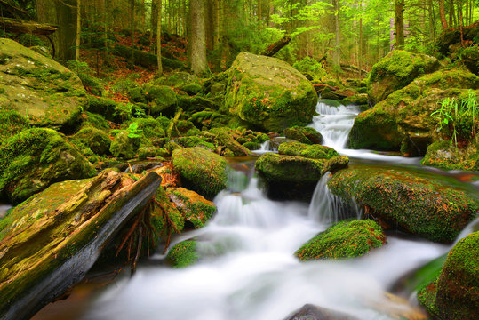 Mountain stream in the National park Sumava-Czech Republic