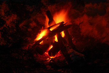 Bonfire in the forest in winter
