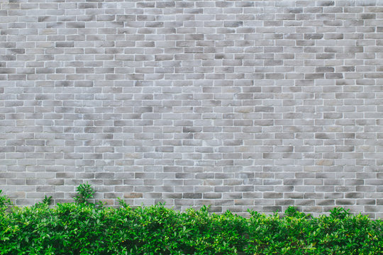 Fototapeta gray brick wall modern style with green grass nature decoration for background.