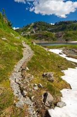 Fragment of a trail in Mount Baker Visitor Center, WA, USA.