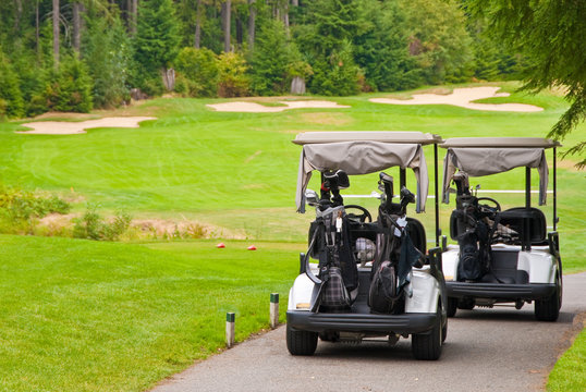 Two golf carts over beautiful green.
