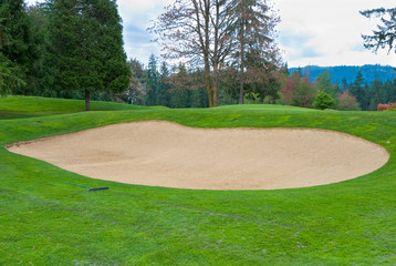 Sand bunker on the golf course with green grass and trees.