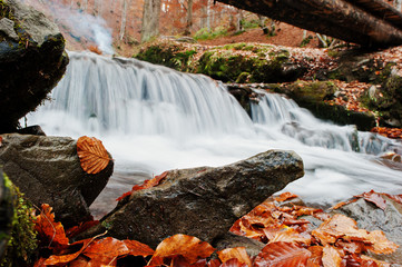 Mountain river rapids at autumn majestic forest with fallen leav