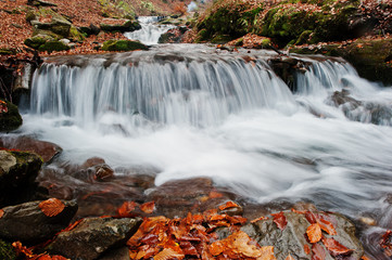 Fototapeta na wymiar Mountain river rapids at autumn majestic forest with fallen leav