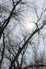 Presque Isle State Park