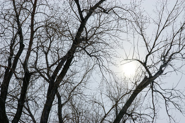 Presque Isle State Park