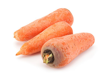 Ripe big carrot on white