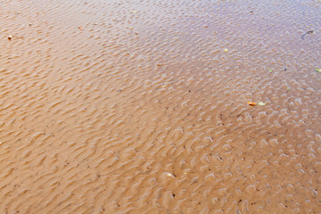 Wavy sand on the beach after the low tide