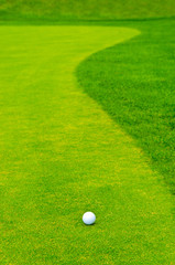 Golf ball on green tee
