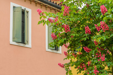 Obraz na płótnie Canvas Beautiful window decorated with flowers in Italy.
