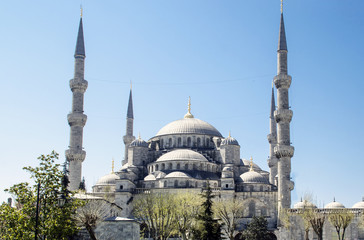 Fototapeta na wymiar Sultanahmet mosque in Istanbul