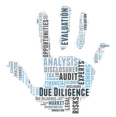 Due Diligence word cloud