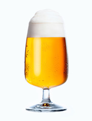 Glass of Beer