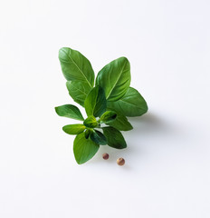Basil leaves