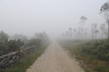 Jakobsweg im Nebel in Spanien