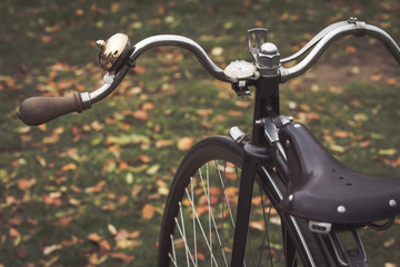 Fototapeta na wymiar Penny-farthing bicycle in a park