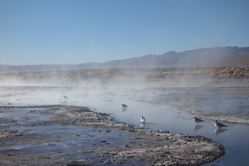 hot springs salar de uyuni