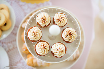 Close up, cupcakes with vanilla cream. Studio shot.