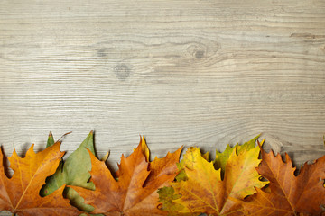 Naklejka na ściany i meble Autumn Leaves frame over wooden background