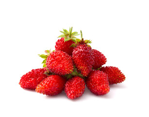 Wild strawberry berries on a white background