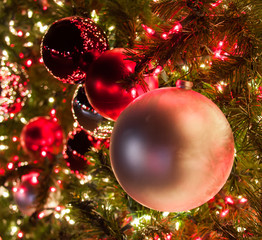 Close up of pink and red ornaments on a large Christmas tree lit with red and white lights.