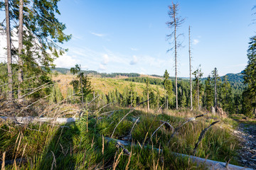 Obraz premium colorful countryside view in carpathians