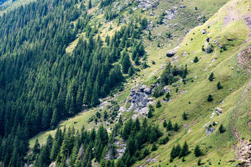 colorful countryside view in carpathians