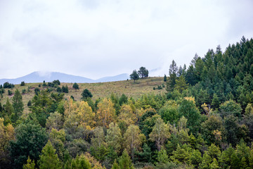 Fototapeta na wymiar colorful countryside view in carpathians