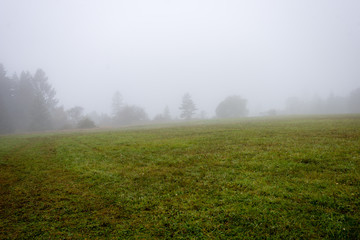 Obraz premium colorful countryside view in carpathians