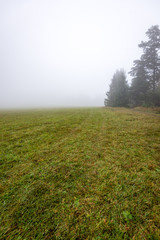 Obraz premium colorful countryside view in carpathians