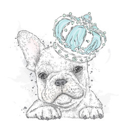 Cute puppy wearing a crown. French Bulldog. Vector illustration.