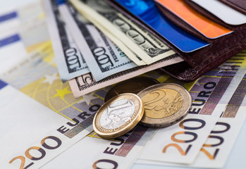 leather wallet with credit and discount cards, with money