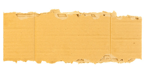 Cardboard