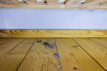 Home dust on the wooden floor under the bed
