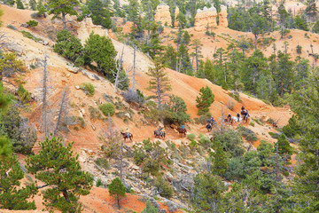 People riding horses in Bryce Canyon National Park, Utah, USA