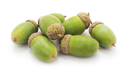 Green acorns.