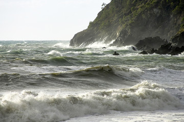 Fototapeta premium big storm in levanto