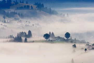 Türaufkleber Nebliger Hügel © denis_333