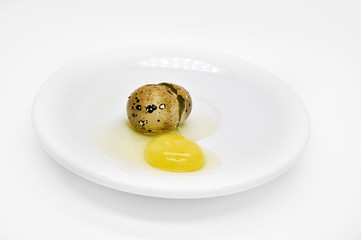 перепелиное яйцо разбитое на белом