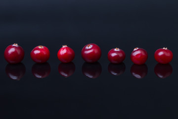 Line of cranberry on black background with reflection